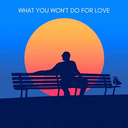 What You Won't Do for Love