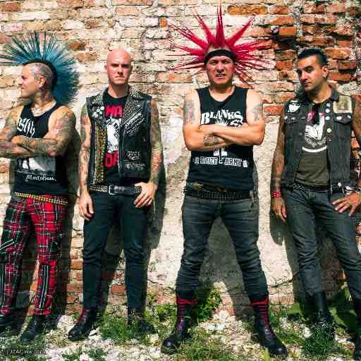 The Casualties